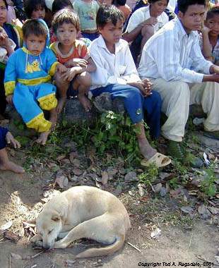 Montagnard (Jarai) audience watching 'Chong Chien' Band performance, Central Highlands, Vietnam 2000